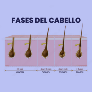 Curso introducción a la tricología Angela Messa