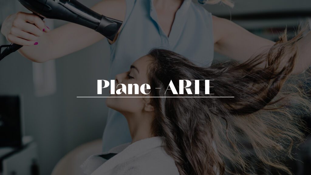 Plane – ARTE – Juan C López